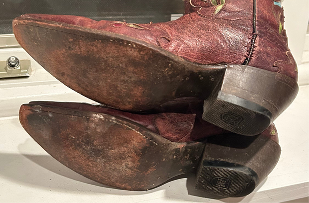 1990s • Dan Post • “Blue Birds” Inlay Boots • Women’s 8 M